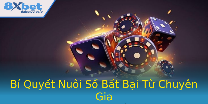 Bí Quyết Nuôi Số Bất Bại Từ Chuyên Gia