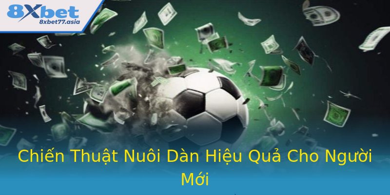 Chiến Thuật Nuôi Dàn Hiệu Quả Cho Người Mới