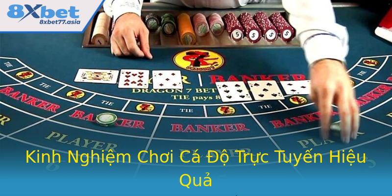Kinh Nghiệm Chơi Cá Độ Trực Tuyến Hiệu Quả Kinh Nghiệm Chơi Cá Độ Trực Tuyến Hiệu Quả