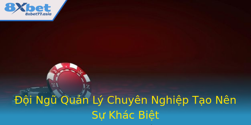 Đội Ngũ Quản Lý Chuyên Nghiệp Tạo Nên Sự Khác Biệt Đội Ngũ Quản Lý Chuyên Nghiệp Tạo Nên Sự Khác Biệt