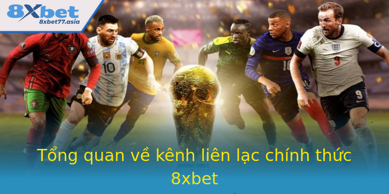 Tổng quan về kênh liên lạc chính thức 8xbet Tổng quan về kênh liên lạc chính thức 8xbet